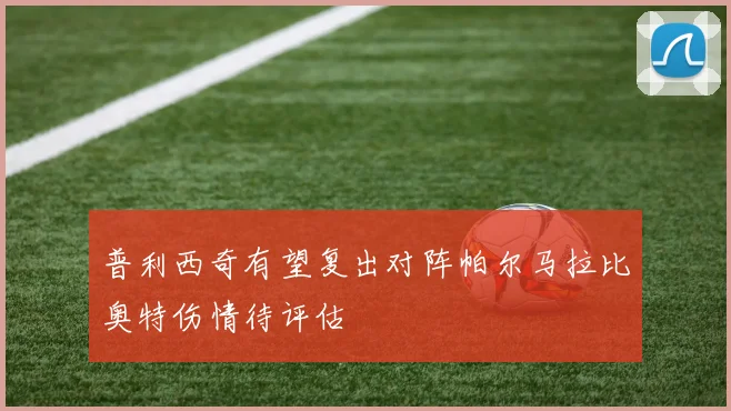 普利西奇有望复出对阵帕尔马拉比奥特伤情待评估