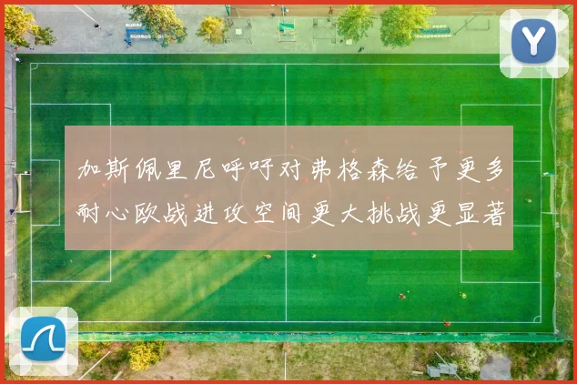 加斯佩里尼呼吁对弗格森给予更多耐心欧战进攻空间更大挑战更显著