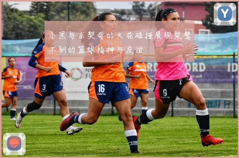 小黑与东契奇的火花碰撞展现桀骜不驯的篮球精神与友谊