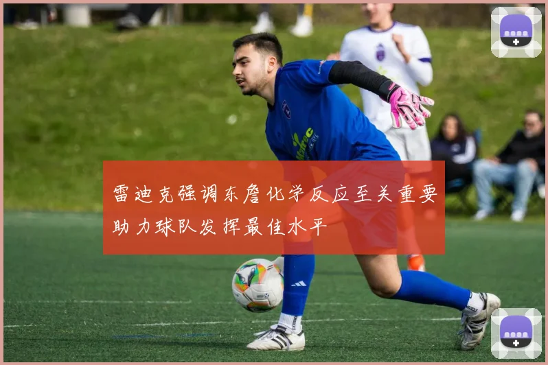 雷迪克强调东詹化学反应至关重要助力球队发挥最佳水平