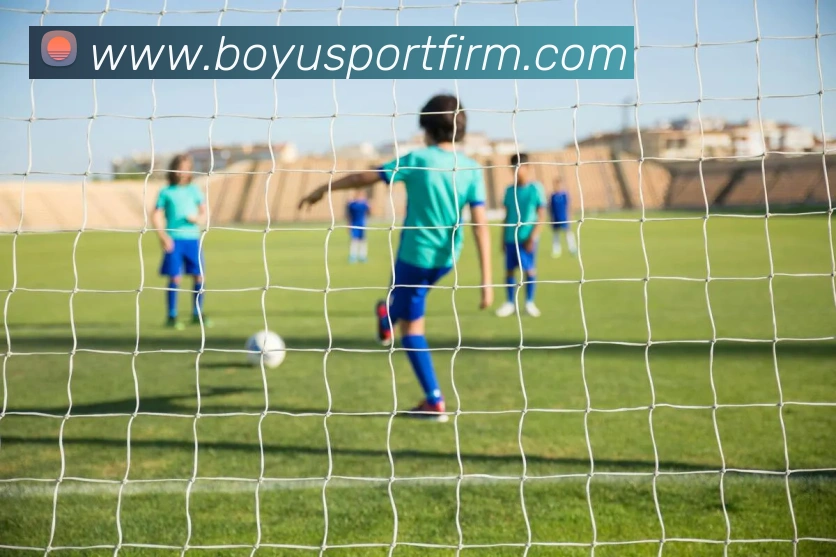 博鱼体育平台生态图