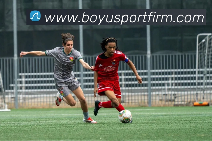 博鱼体育APP 封面图