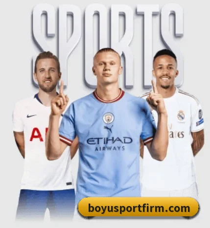博鱼体育 APP（BOYUSPORTS）